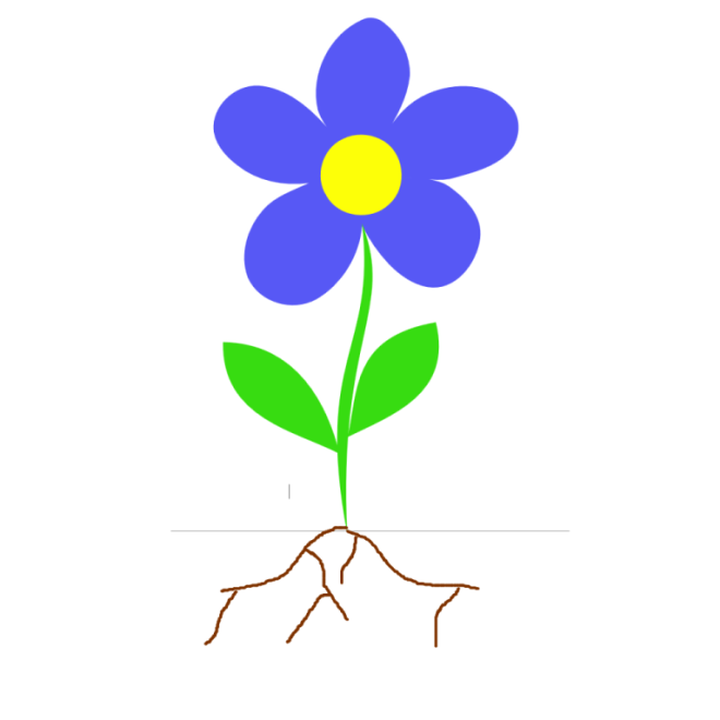 plant parts