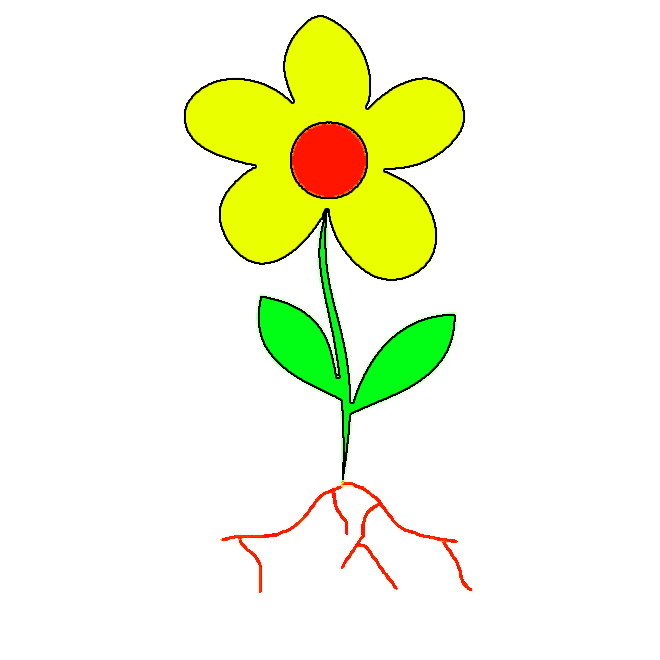 Label this flower's parts