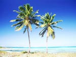 darken the bahamas photo