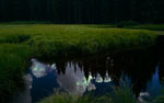 lighten this scene
