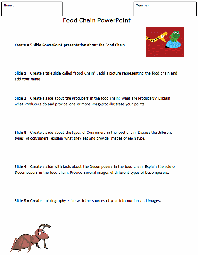 Food Chain Student Handout