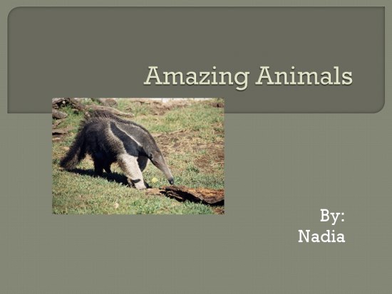 those amazing animals