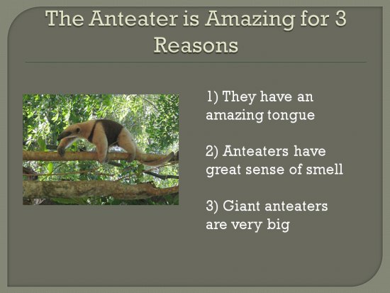 Amazing Animals - California Treasures