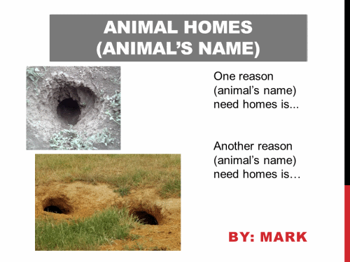 Animal Homes