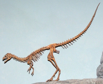 compsognathus dinosaur