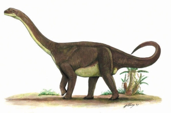 sauropod dinosaur