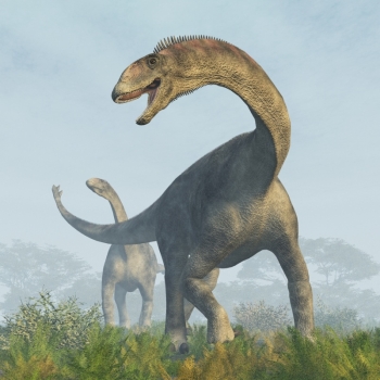 sauropod dinosaur