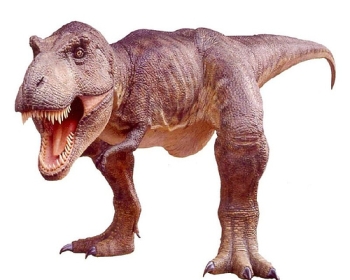 T-Rex Dinosaur