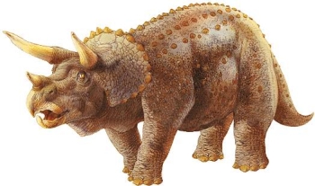 Triceratops Dinosaur