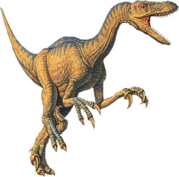 Velociraptor Dinosaur