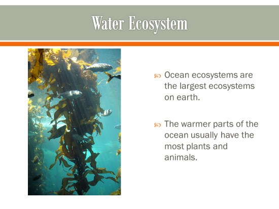 ecosystems