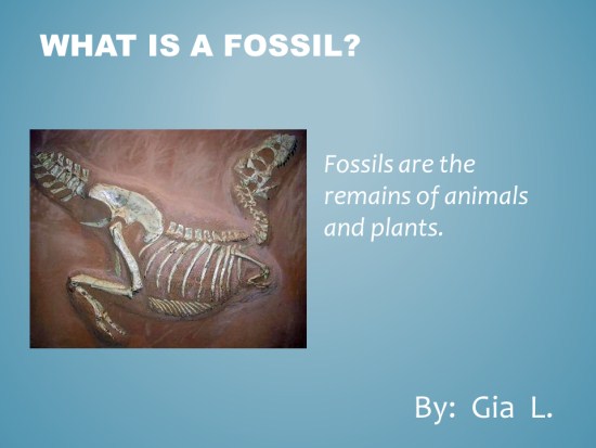 Fossils PowerPoint 
