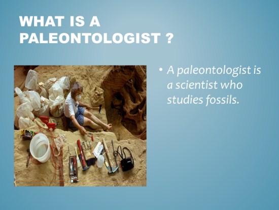 Fossils