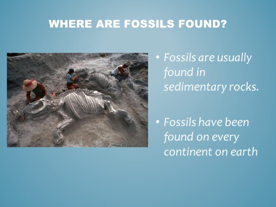 Fossils