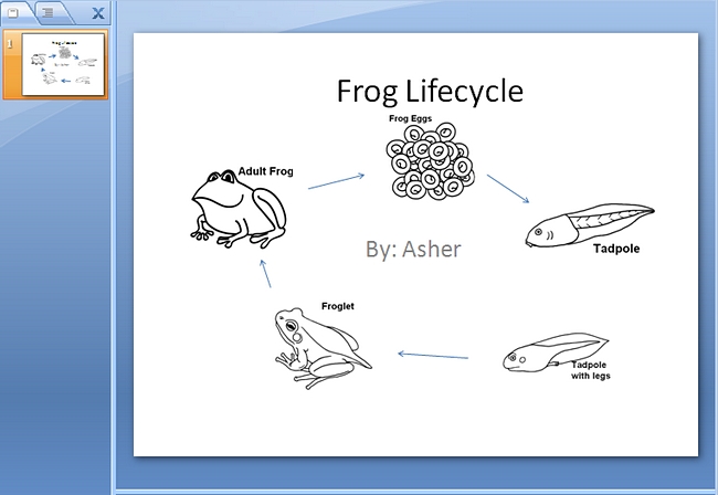 Lifecyle of a frog powerpoint computer lab activity 1st grade