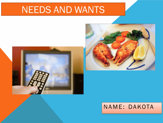 Needs and Wants