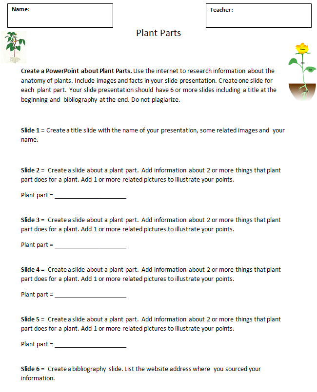 Parts of Plant Lesson Plan PowerPoint Handout