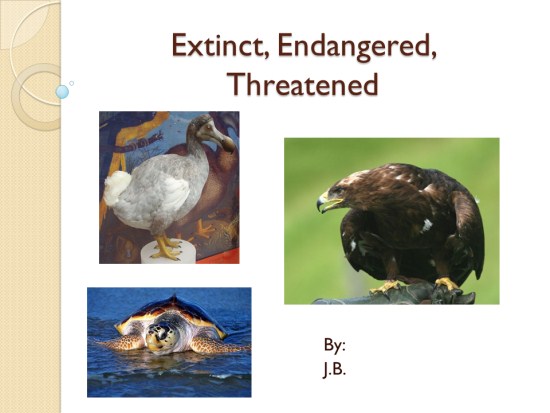 extinct endangered threatened