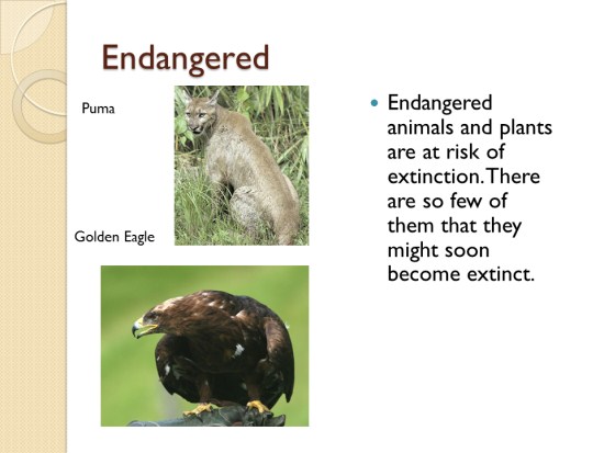 endangered