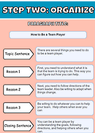 Opinion Paragraph Generator
