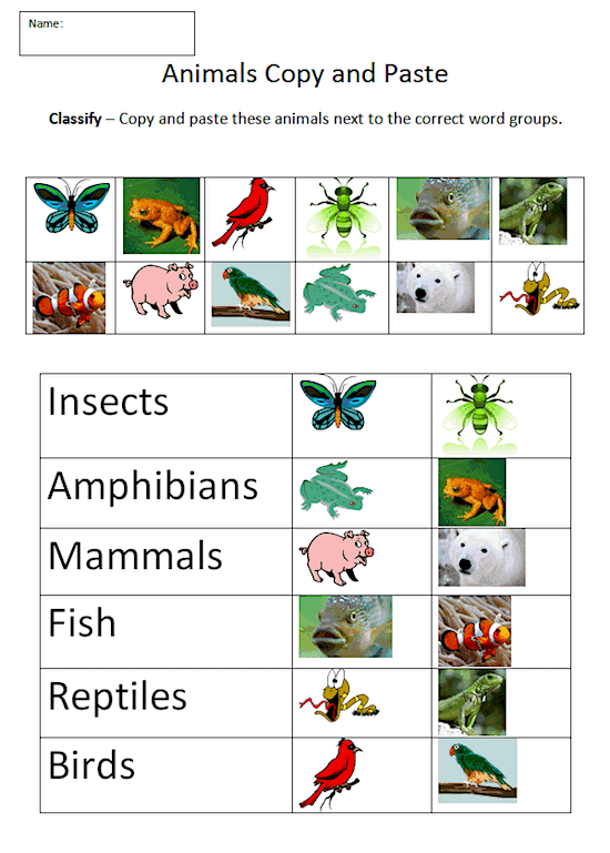 Life Science - Classifying Animals