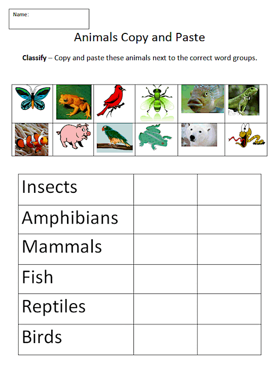 Animal Classification worksheet