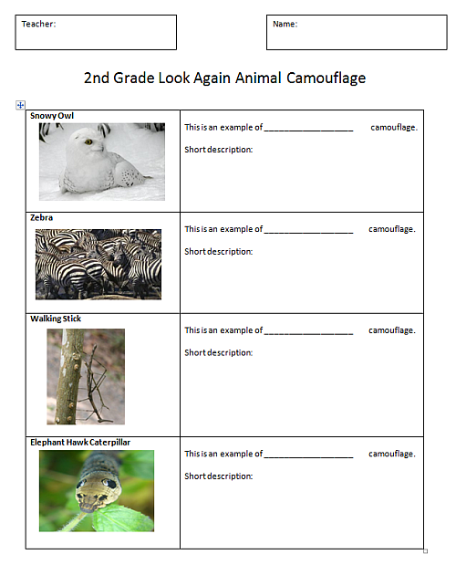 worksheet characteristics animal Computer 5 Comic Camouflage Lessons Animal Lab K Technology worksheet characteristics animal Computer 5 Comic Camouflage Lessons Animal Lab K Technology