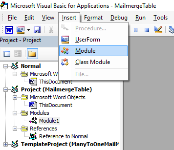 Inserting a Module in MS Word